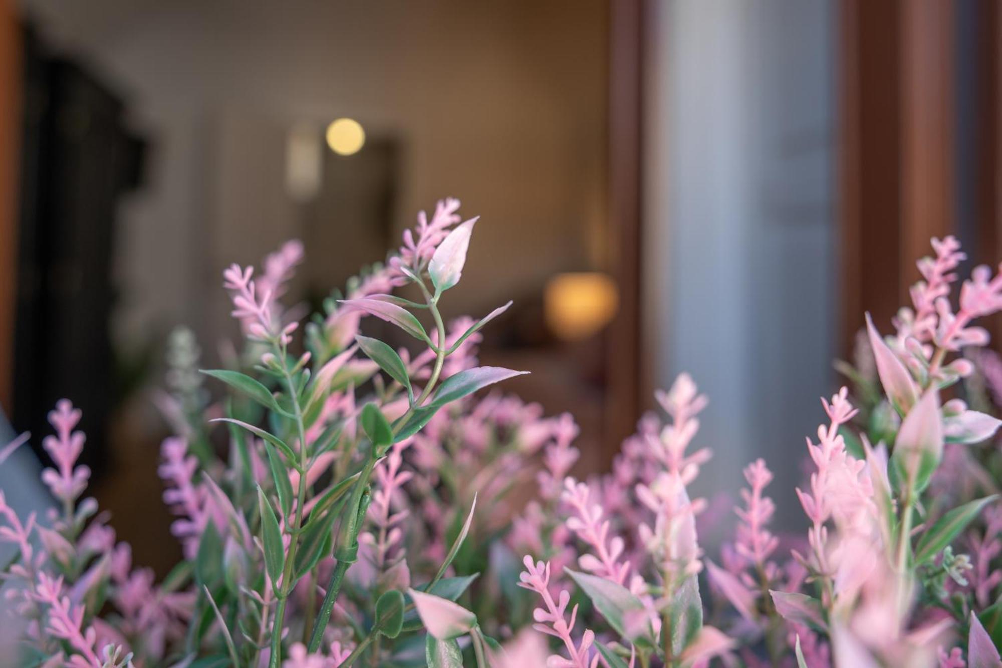 Mirone - Suite Apartments Catania Centro المظهر الخارجي الصورة