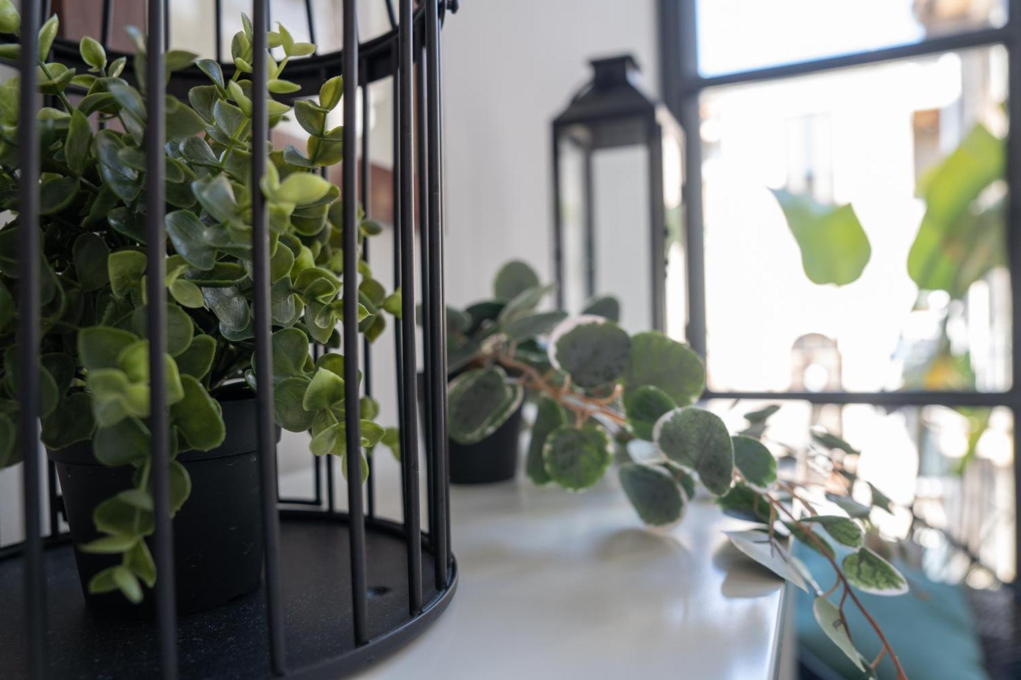 Mirone - Suite Apartments Catania Centro المظهر الخارجي الصورة